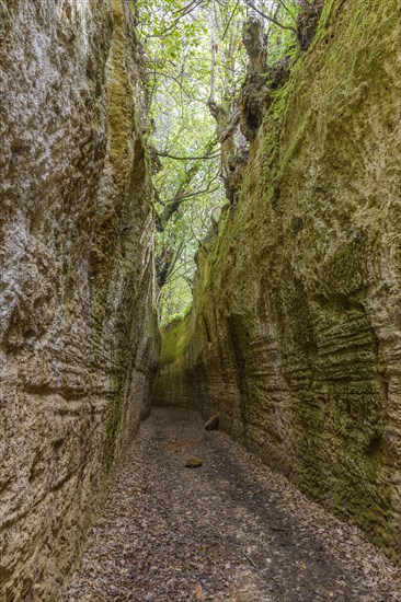 Via Cava di Poggio Prisca