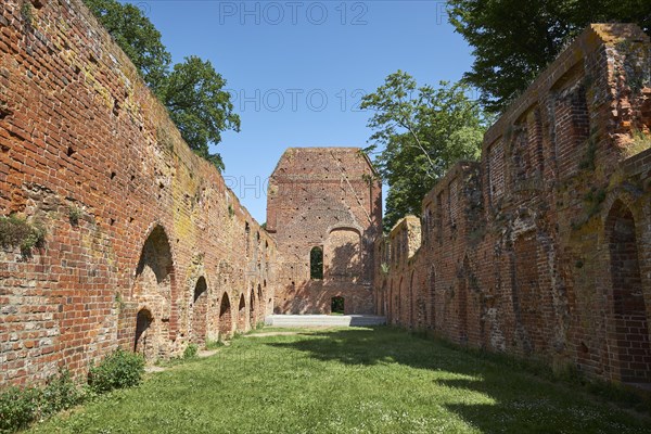 Eldena Monastery Ruin in Greifswald
