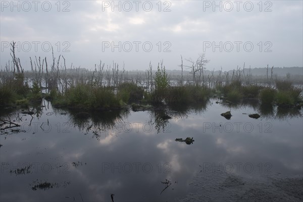Theikenmeer nature reserve