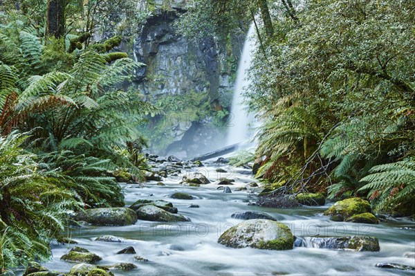 Hopetoun Falls in the rainforest