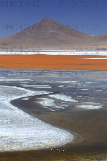 Play of colours of the Laguna Colorada