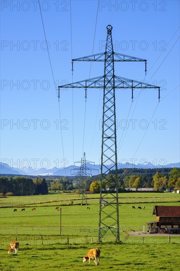 High-voltage line near Egling