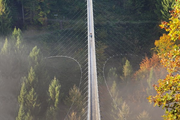 Hanging rope bridge Geierlay