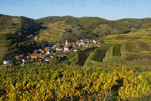 Village in the vineyards in autumn