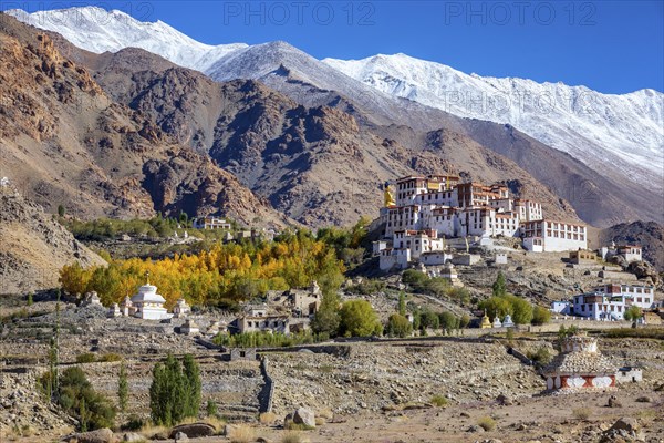 Likir Monastery or Likir Gompa