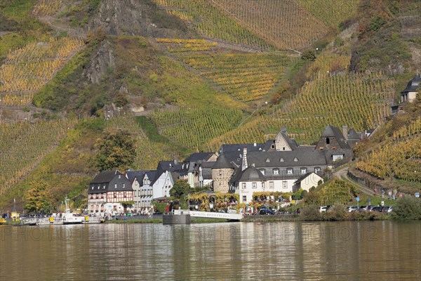 View over the Moselle to Beilstein in autumn
