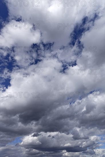 Emerging rain clouds (Nimbostratus)