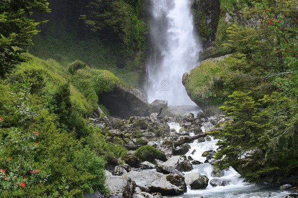 Waterfall between dense rainforest vegetation