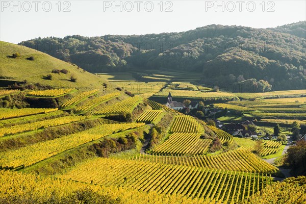 Village in the vineyards in autumn