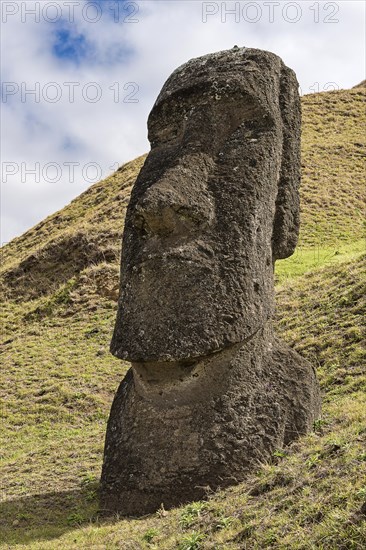 Moais in Rano Raraku