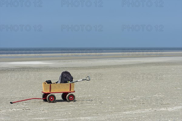 Cart in the Wadden Sea at low tide