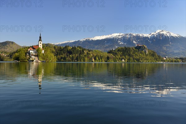 Island Blejski Otok with the St. Mary's Church