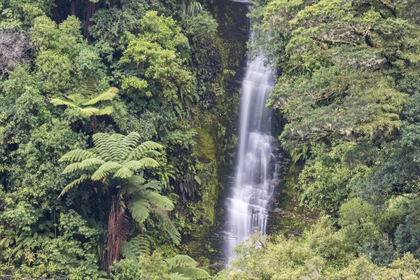 Small waterfall in the rainforest