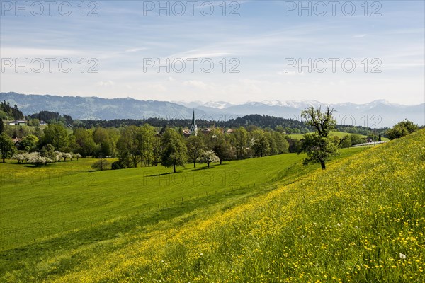 Blooming spring meadow and village