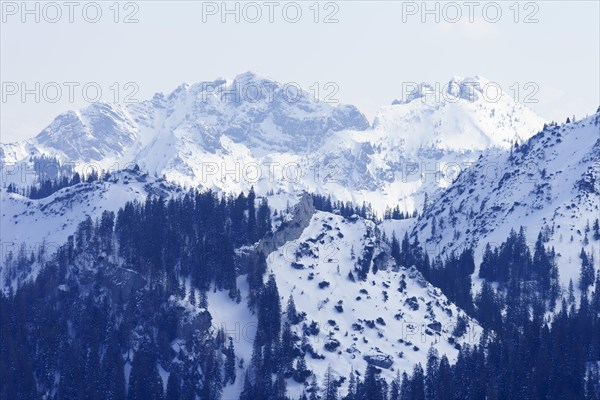 Austrian and Bavarian Schinder in winter
