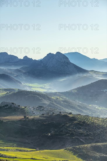 Hilly green mountain landscape