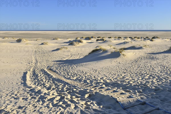 Dune crossing with footprints and Kniepsand to the horizon