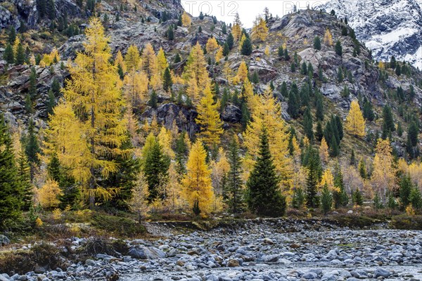 Autumn in the Kaunertal