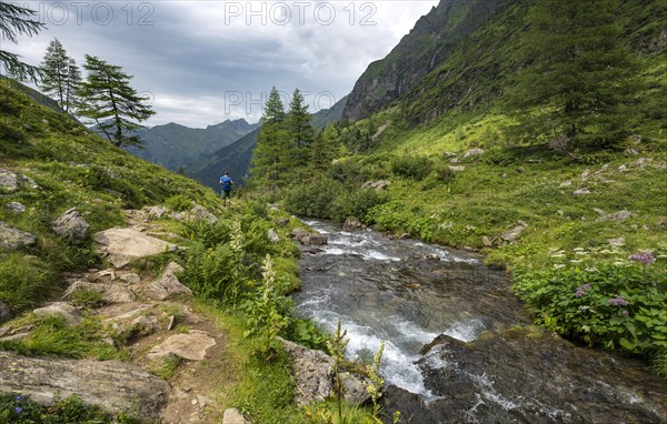 Hiker at Steinriesenbach