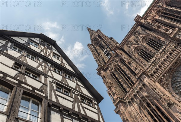 Cathedral of Our Lady of Strasbourg