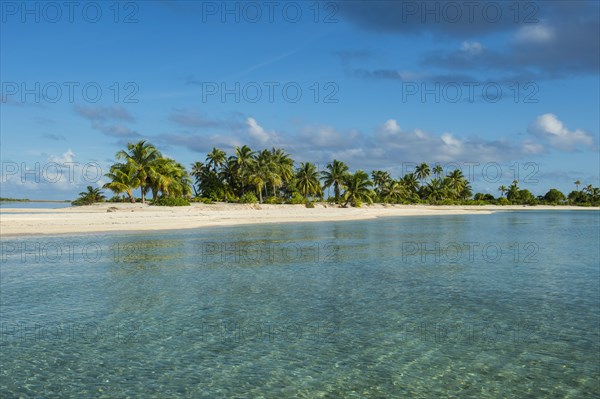 Palm fringed white sand beach in the turquoise waters of Tikehau