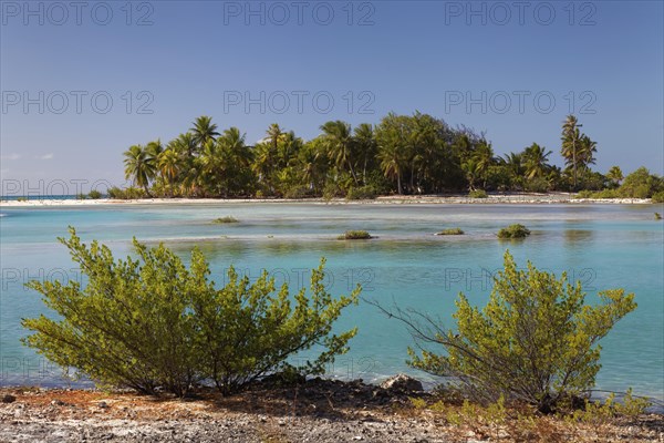 Island landscape