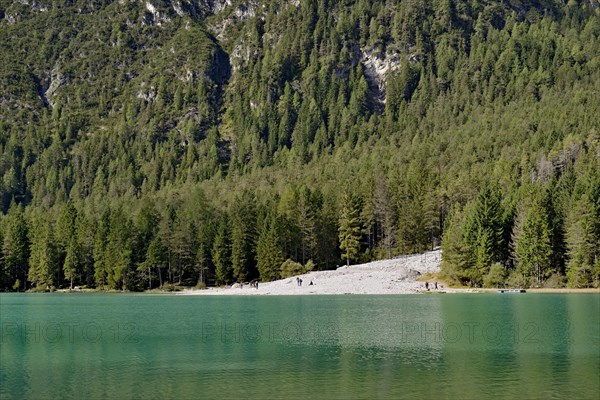 View over the emerald green lake Dobbiaco with mountain forest and Murengang