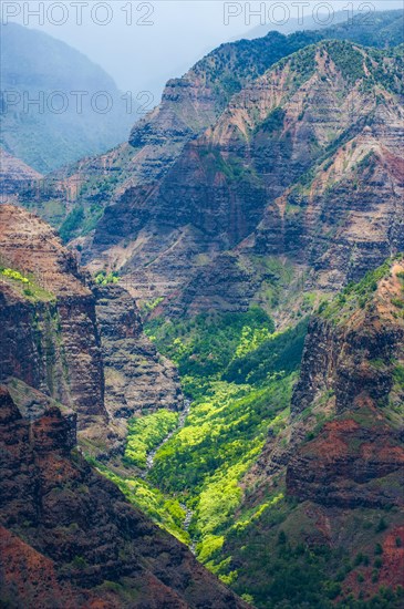 Overlook over the Waimea canyon