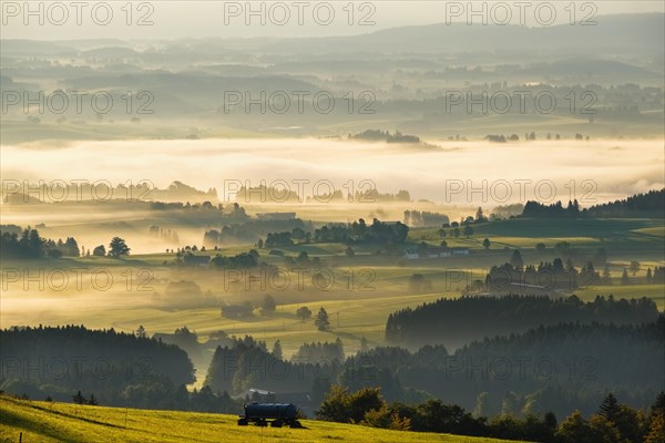 Hilly landscape with morning fog