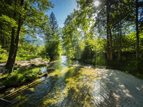 Toplitzbach am Toplitzsee