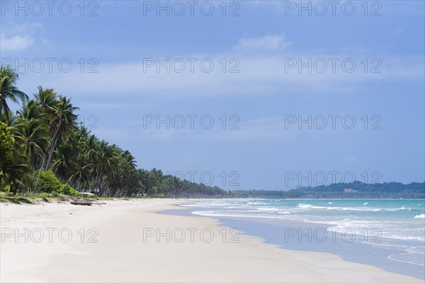 Long sandy beach with palm trees
