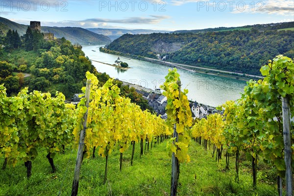 Gutenfels Castle and Pfalzgrafenstein Castle in the Rhine