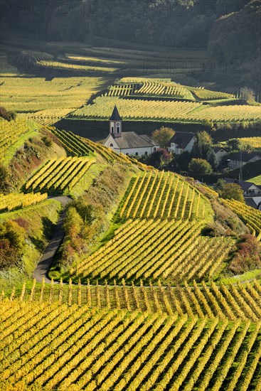 Village in the vineyards in autumn