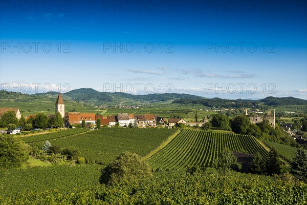 Wine village and cultural landscape in autumn