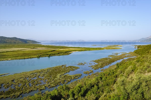 Estuary of the Vivar Canal