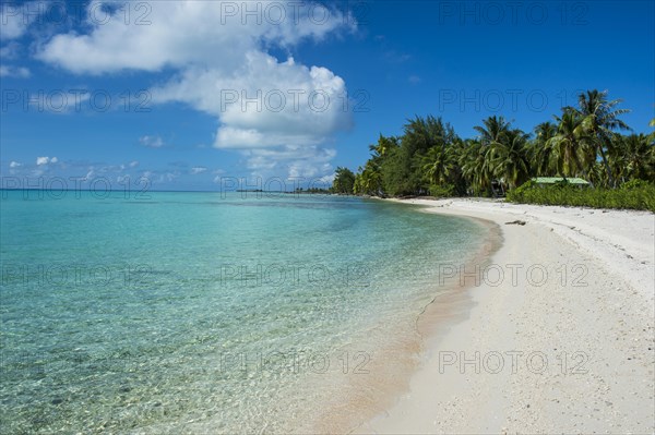 Palm fringed white sand beach in the turquoise waters of Tikehau