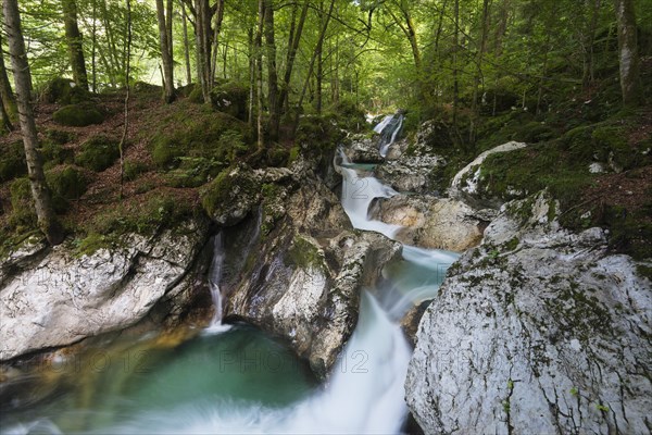 Lepenjica River