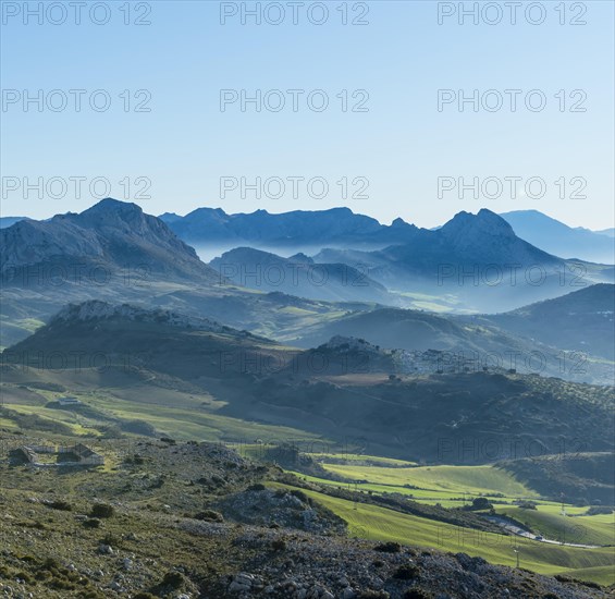 Hilly green mountain landscape