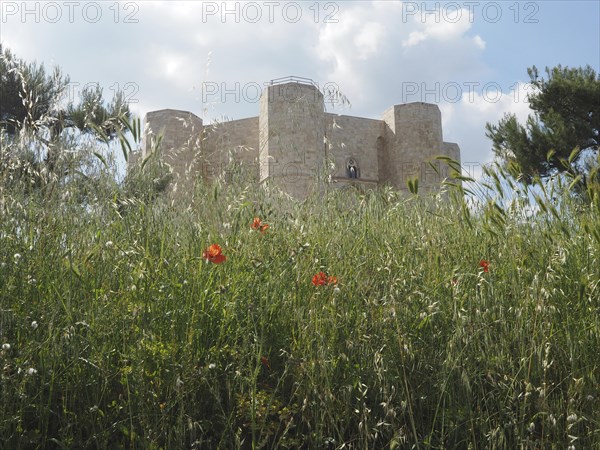 Castel del Monte Castle