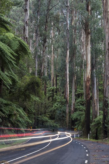 Curvy road with light traces