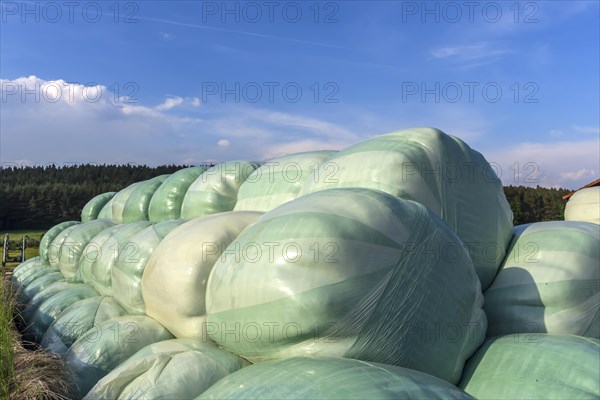 Silo bales wrapped in film