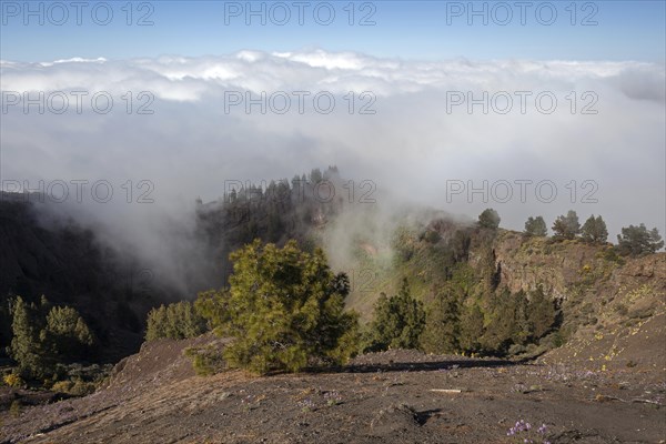 View from the Mirador Pinos de Galdar into the Caldera de Galdar