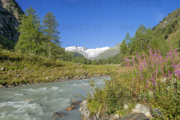 Gschlossbach in Tauern Valley