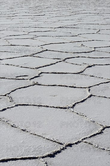 Honeycomb structure on the salt lake