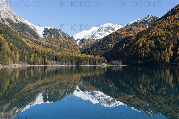 Mountain lake with European larch (Larix decidua) in autumn