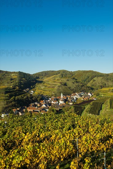 Village in the vineyards in autumn