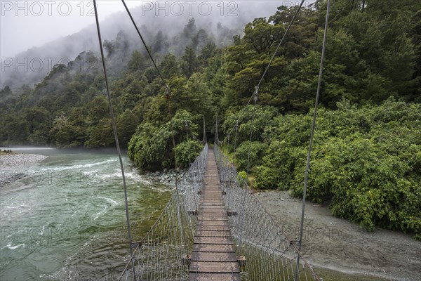 Hollyford Track Suspension Bridge