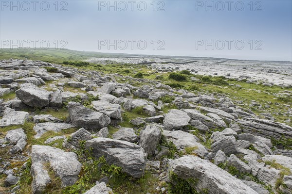 Burren karst landscape