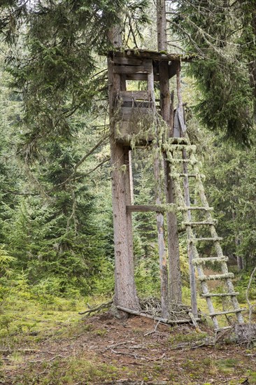 Hunting stand