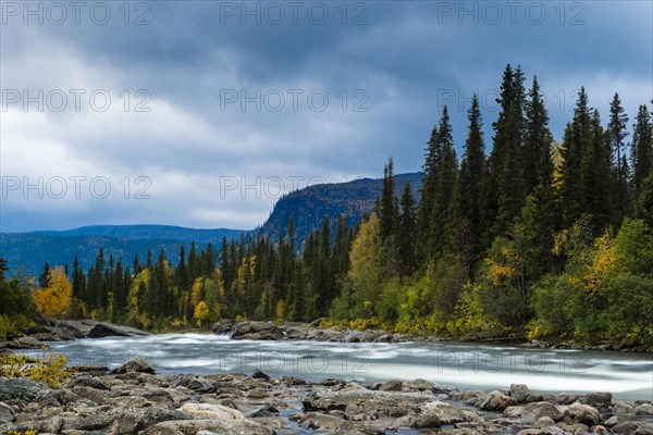 Rapids of Gamajahka